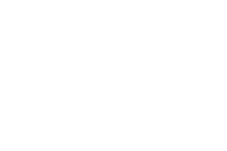 SECURITYwise