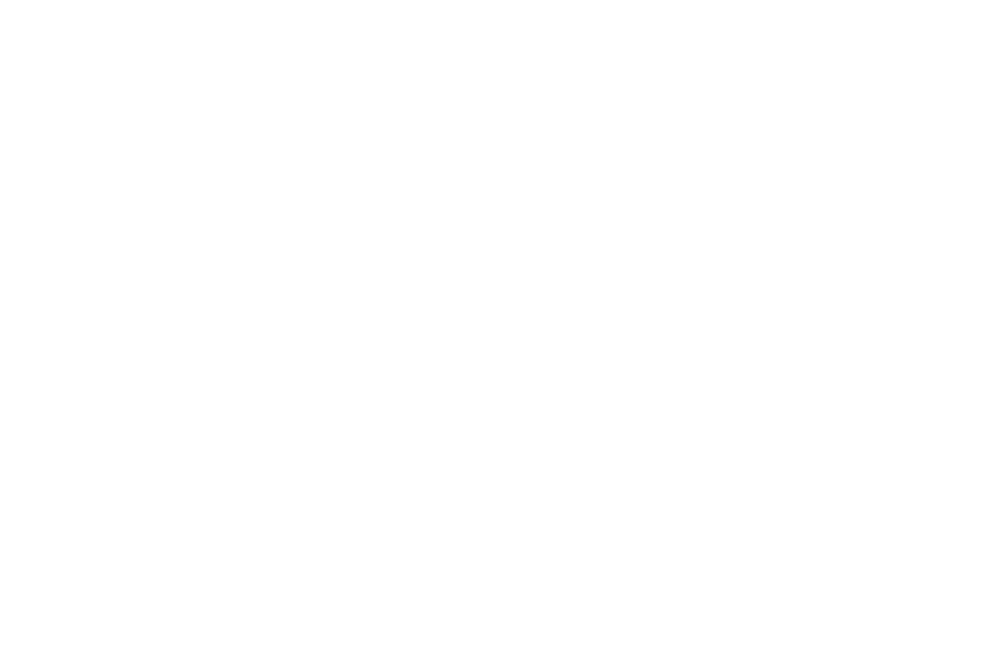 security-wise-logo-www